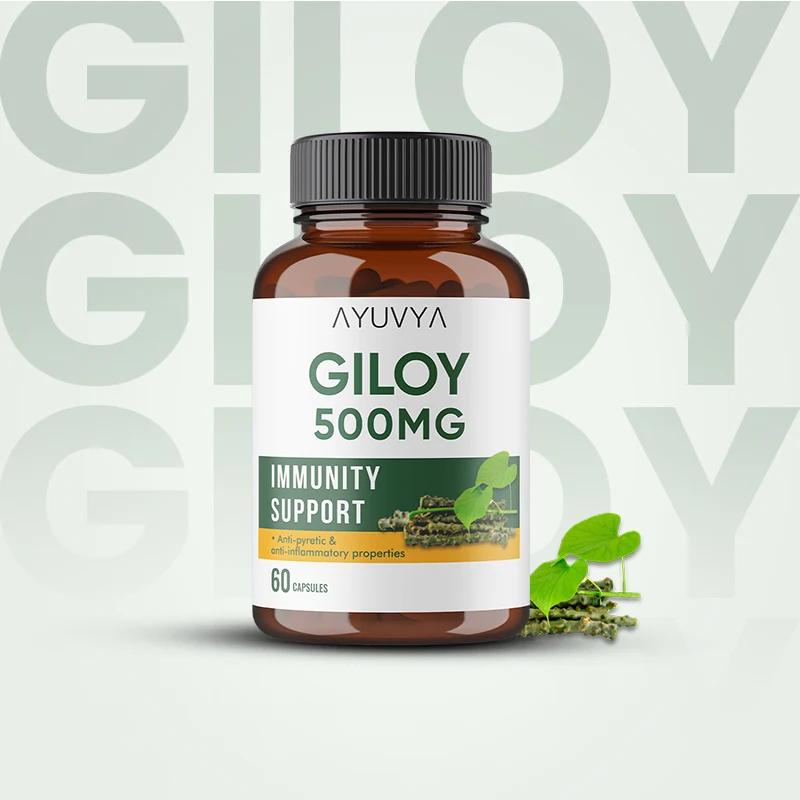 Ayuvya Giloy Capsules | 500mg
