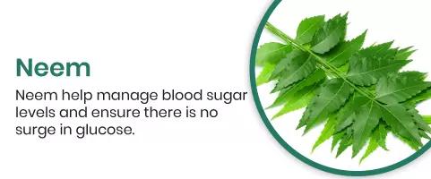 Neem Neem help manage blood sugar levels and ensure there is no surge in glucose
