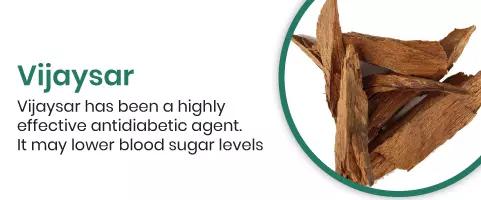 Vijaysar Vijaysar has been a highly effective antidiabetic agent. It may lower blood sugar level