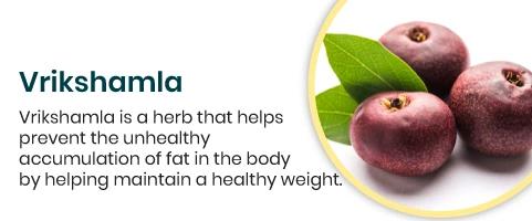 Vrikshamla Vrikshamla is a herb that helps prevent the unhealthy accumulation of fat in the body by helping maintain a healthy weight
