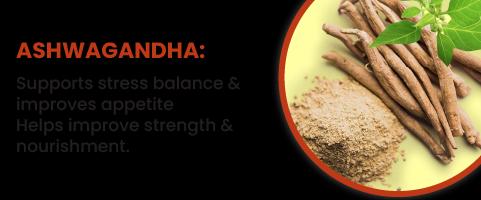 Ashwagandha