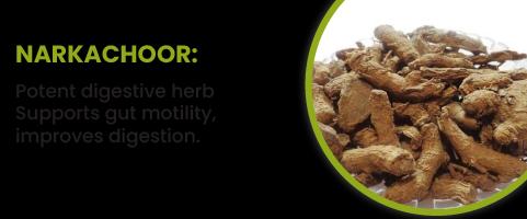 Narkachoor