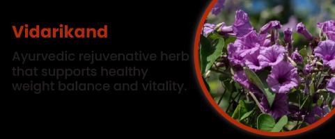 Vidarikand