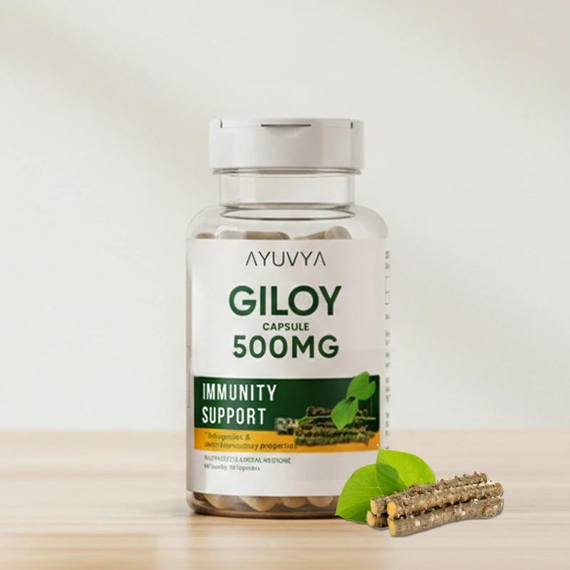 Ayuvya Giloy Capsules | 500mg
