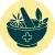 The power of 10+ ayurvedic herbs
